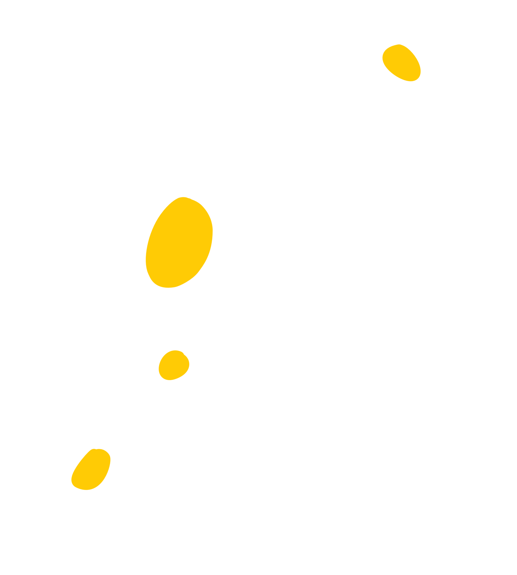 biscotti