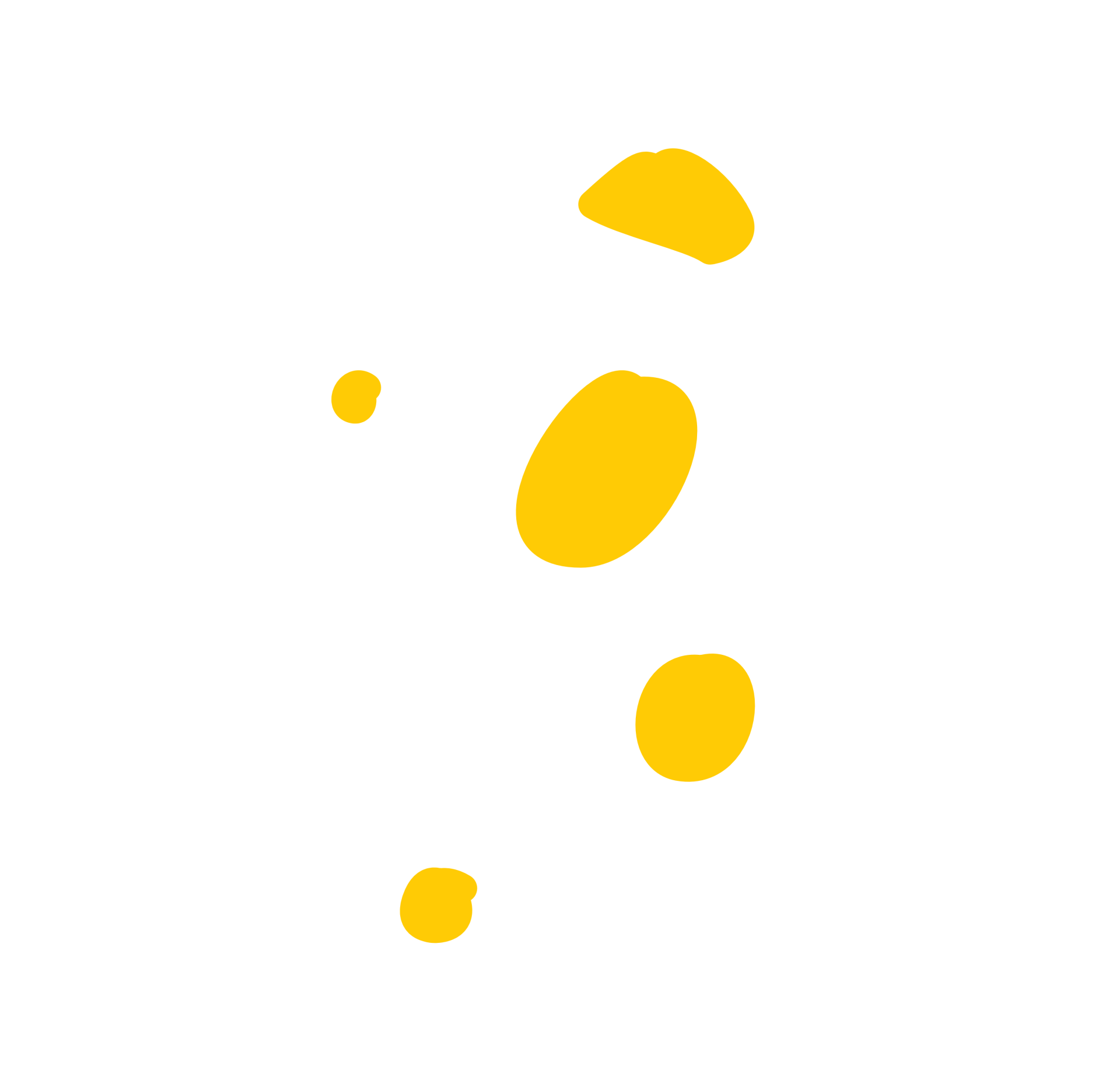 cookie